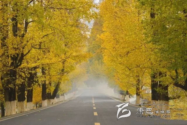 康定新都橋，有一條黃金大道通往夢中的天堂