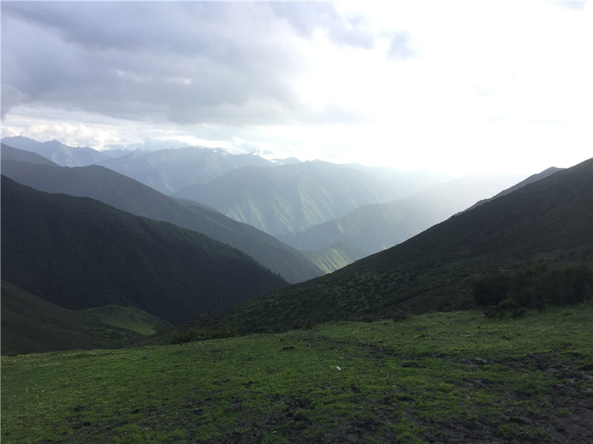 牧場遠眺。.jpg