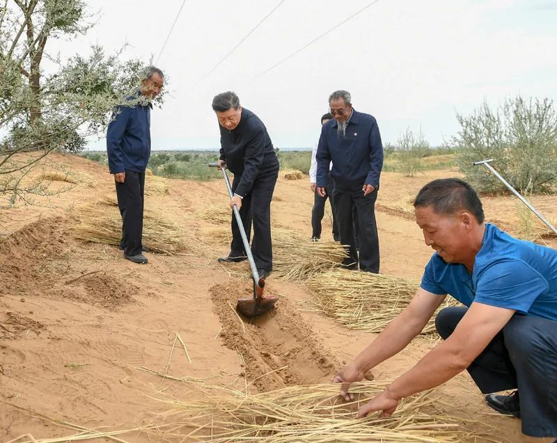 2019年8月21日，習(xí)近平來到甘肅省武威市古浪縣八步沙林場，實地察看當(dāng)?shù)刂紊吃炝?、生態(tài)保護等情況。新華社記者 謝環(huán)馳 攝