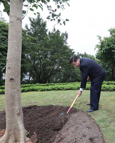 2012年12月7日至11日，習(xí)近平在廣東省考察工作。這是8日上午，習(xí)近平在深圳蓮花山公園種下一棵高山榕樹(shù)。新華社記者 蘭紅光 攝