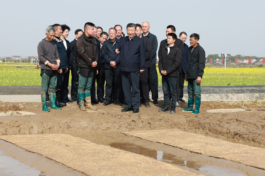 2024年3月18日至21日，中共中央總書記、國家主席、中央軍委主席習近平在湖南考察。這是19日下午，習近平在常德市鼎城區(qū)謝家鋪鎮(zhèn)港中坪村走進田間，察看秧苗培育和春耕備耕進展。新華社記者 王曄 攝